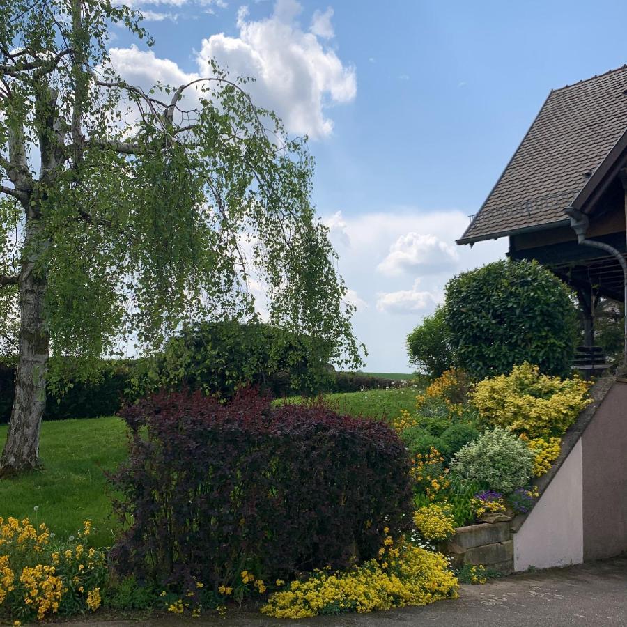 Appartement Charmant A Hochfelden 100 M² Et Parking Gratuit Gottesheim Dış mekan fotoğraf