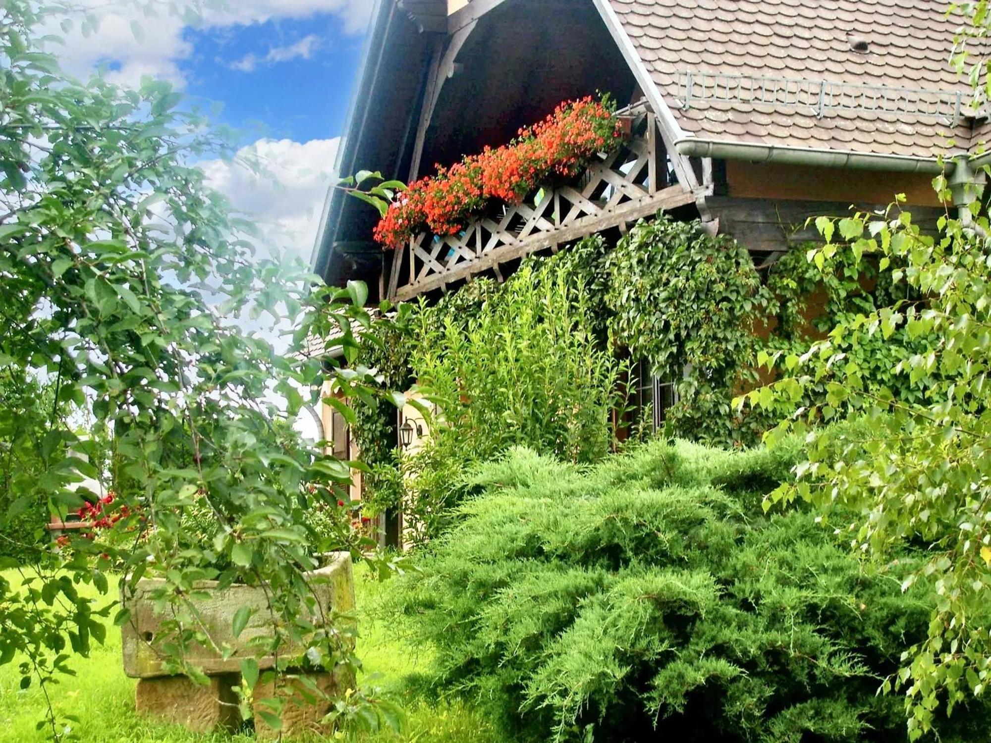 Appartement Charmant A Hochfelden 100 M² Et Parking Gratuit Gottesheim Dış mekan fotoğraf
